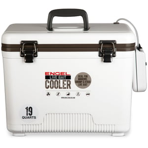 Image of ENGLBC19-N