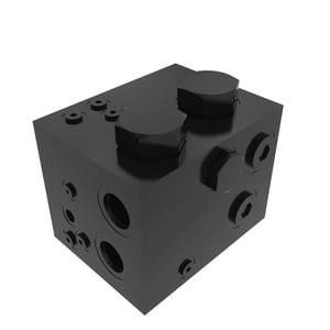 Manifold