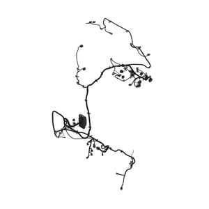 Image of AUC11162