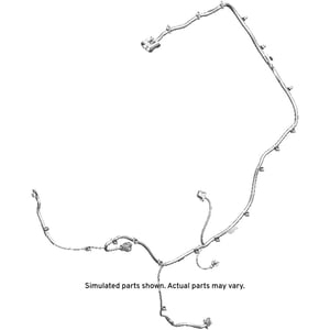 Image of 42772853