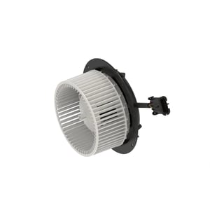 Blower Motor