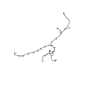 Image of AKK40871