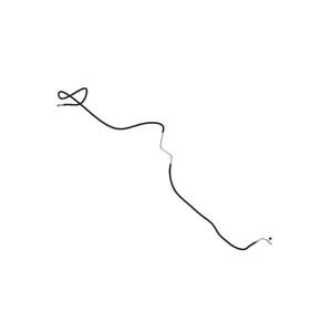 Image of AL173847