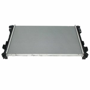 Image of RAD91
