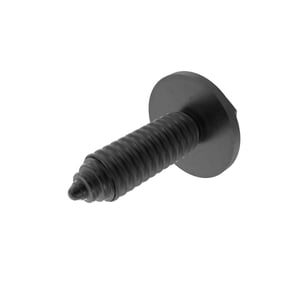 Screw With Washer