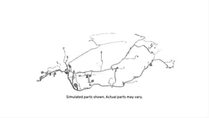 Image of 39061305
