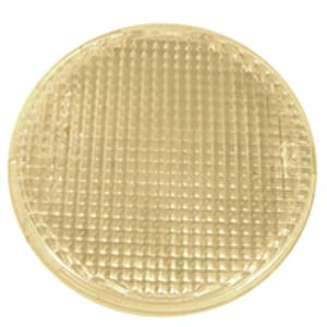 Image of 150692FP