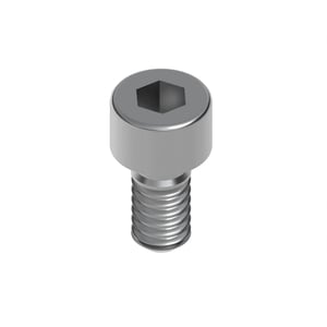 Bolt
