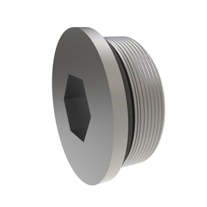 Fitting Plug