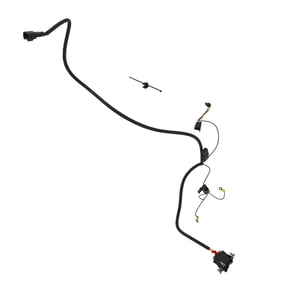 Image of AUC16054