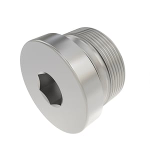 Fitting Plug