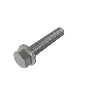 Screw