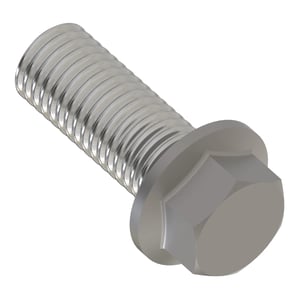 Screw