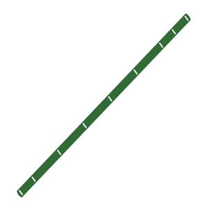 Stripper