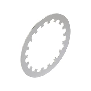 Disk Spring