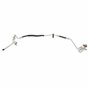 Image of YF37350