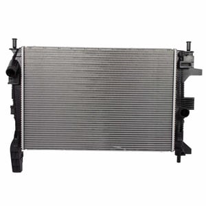 Image of RAD86