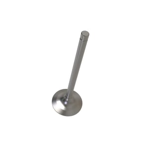 Exhaust Valve