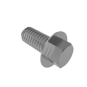 Screw With Washer