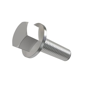 Screw
