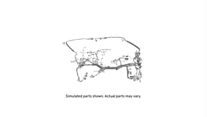 Image of 23508557