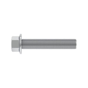 Cap Screw