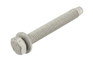 Image of 11610404