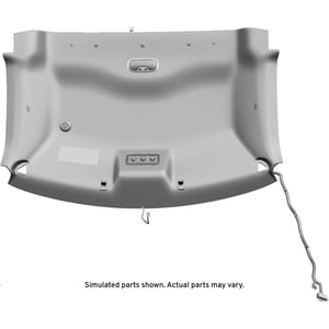 Image of 20792646