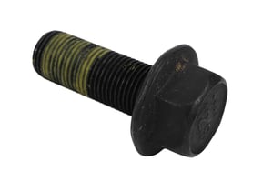 Image of 11603376
