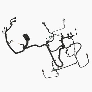 Image of AUC15695