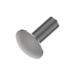 Screw
