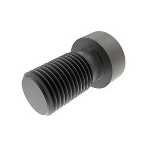 Screw