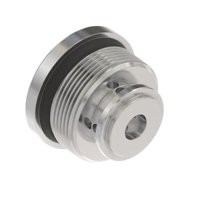 Fitting Plug
