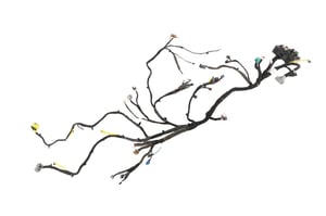 Image of 42516207