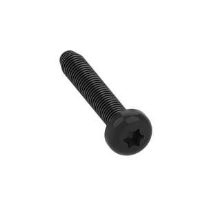 Screw