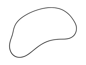 Image of 1302491