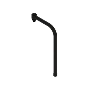 Rib