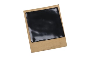 Image of 20842862
