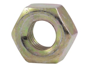 Image of 10701529