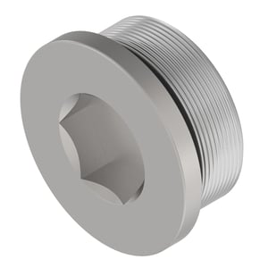 Fitting Plug