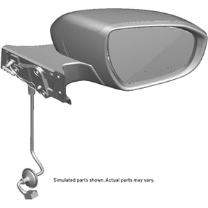Image of 42553496