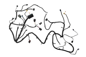 Image of 22863275