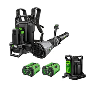 Image of LBPX8006-2