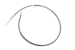 Image of 20779561