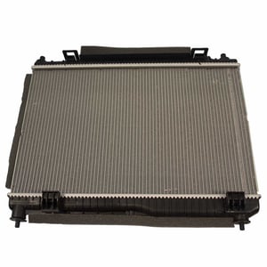Image of RAD54