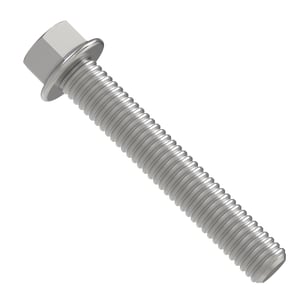 Image of AM141501