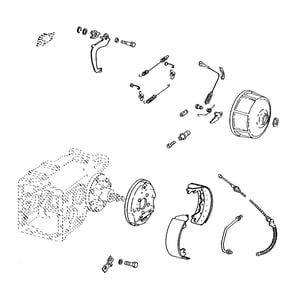 Image of AN274305