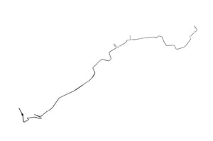 Image of 42815868