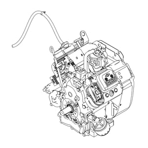 Image of AUC15326