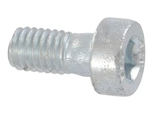 SCREW